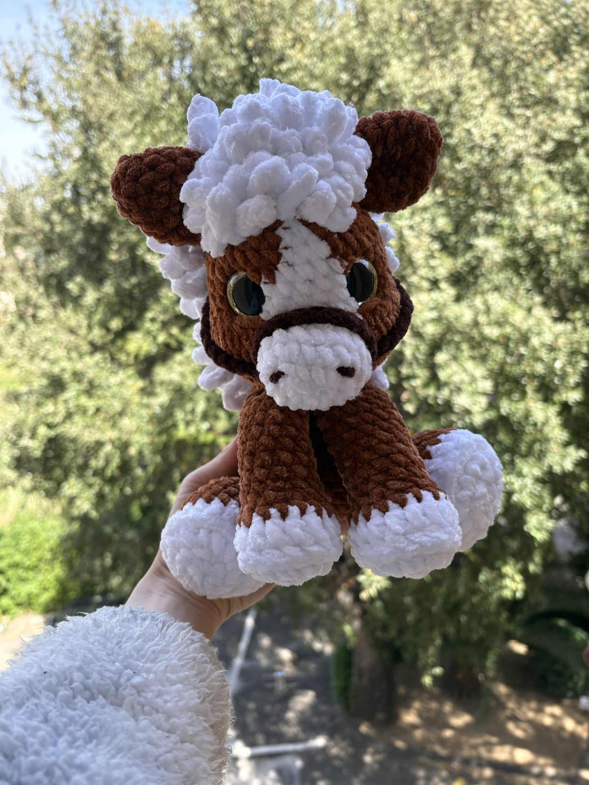 Paco le cheval