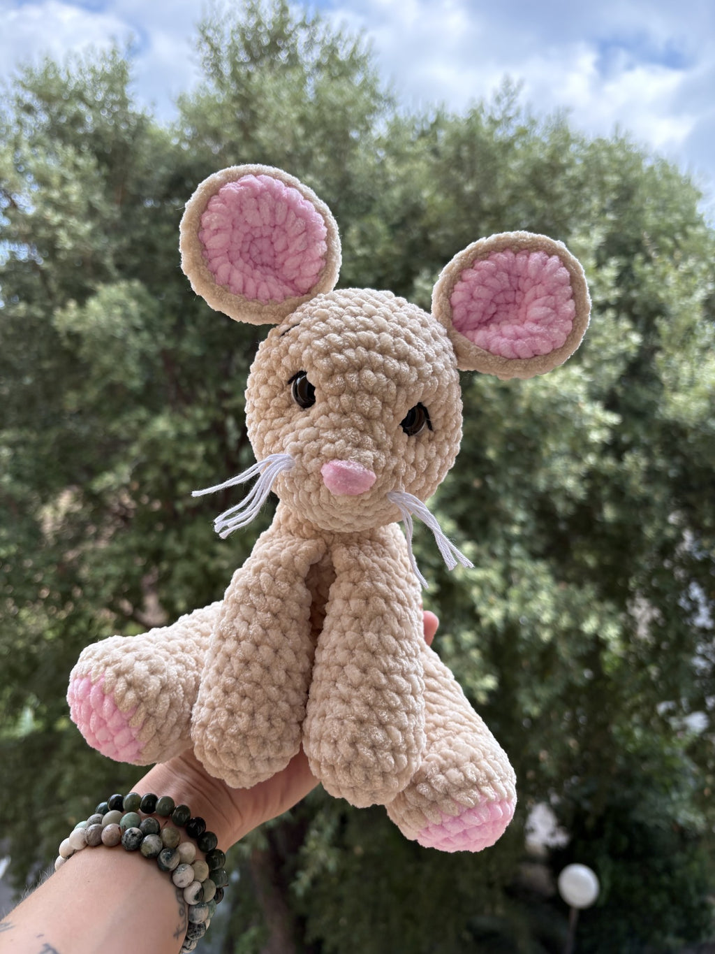 Grignotte la Souris