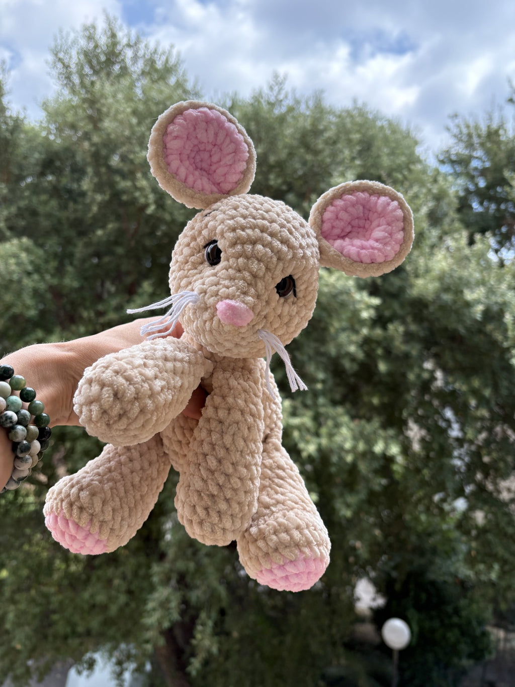 Grignotte la Souris